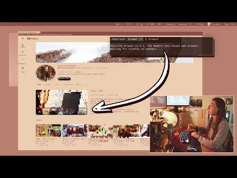 websites, in your TERMINAL