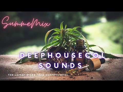 [HQ] Say so x Dani California - Red Hot Chili Peppers & Doja Cat  (Mashup) Full song