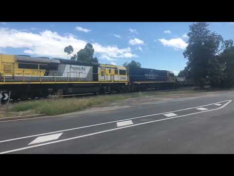 Pacific National 7SM2 with NR57 LDP005 NR26