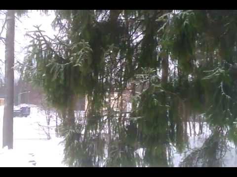 Tälläinen aamun sunistelut