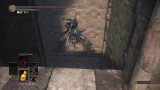 DARK SOULS™ III The crow king does not tolerate fall damage