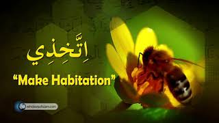 Video: In Quran 16:68, the female Honey Bee does the work - Quran Miracle