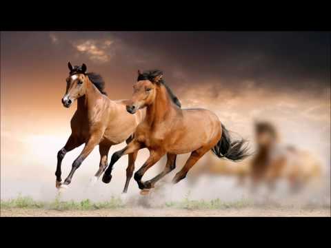 Aamir Kangda - Aaja Bahon Me