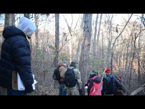 Pinus echinata - YouTube
