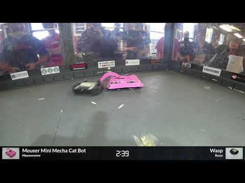 Mouser Mini Mecha Cat Bot vs Wasp