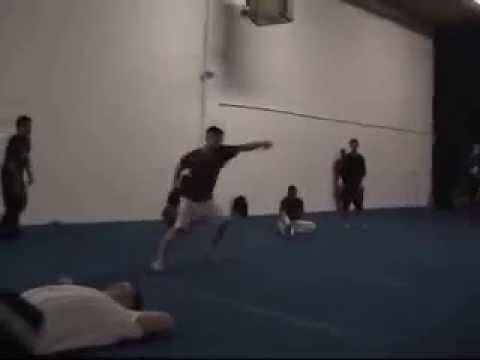 The Best of  Martial Arts Flips and Moves