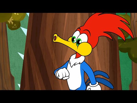 ¡La curiosa naturaleza de Woody!| El Pájaro Loco | Dibujos Animados en Español