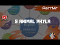 9 Animal Phyla Song