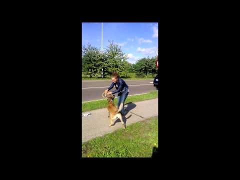 stoutmoedigheidsopdracht Nina