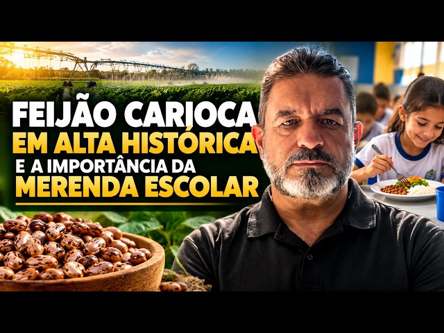 Feijão Carioca em Alta Histórica e a Importância da Merenda Escolar.