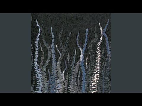 Video thumbnail for Far from Fields