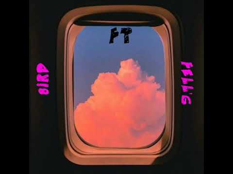 8IRD FT FELL'G - FECTION -