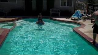 Hale Bopp Blues-Pool is Now Open!!!