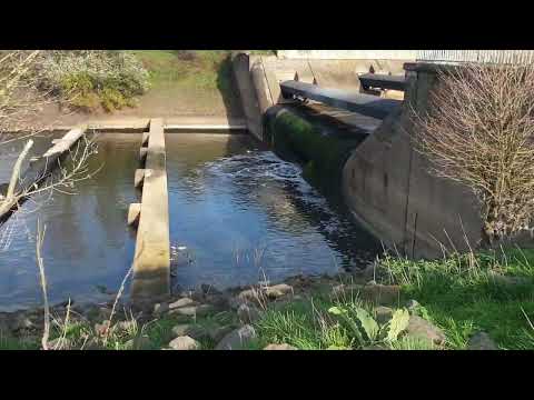 Absturz Bauwerk der Emscher in Dinslaken mit letztem Wasser nach Flutung der neuen Mündung in Rhein