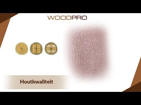 Woodpro blokhut 27160 met overkapping 5 hqdefault