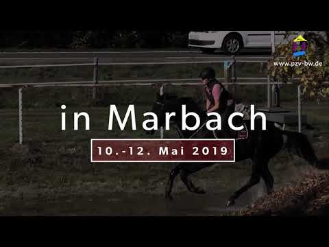 Verkaufsschau Marbach Vielseitigkeit