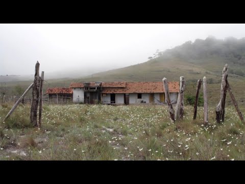 Bernardo Bauer - Calçada (videoclipe)