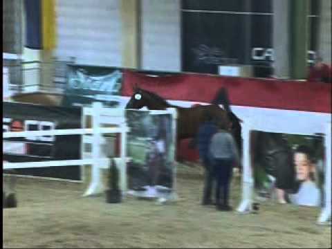 Fire PZW von Fire van de Heffinck, geb. 2011