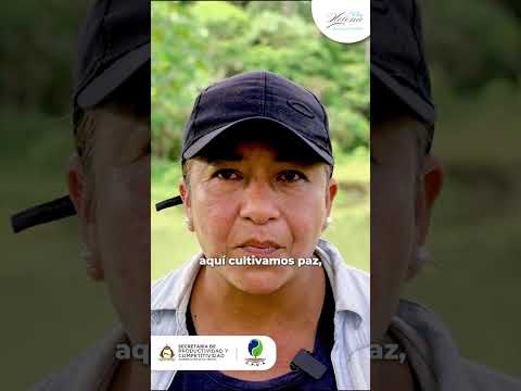 Piscicultura en Putumayo 🐟 Cachama, Tilapia y Pirarucú producido por campesinos de San Miguel