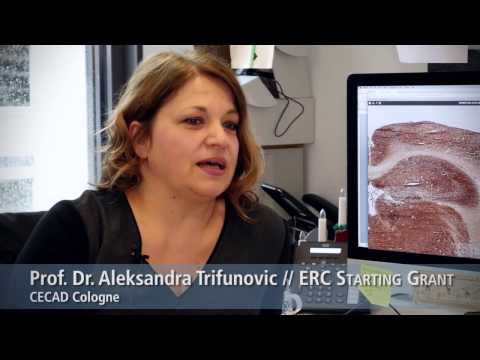What does European  research mean for you? // ERC week and Beyond // 2 of 5