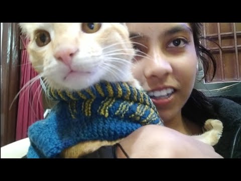 Meri cat ko sardi lag gayi.