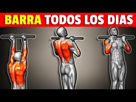 ✅ Doing pull-ups every day would do this to your body: hypertrophy exercises