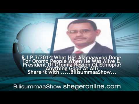 what has alamaayyo done for Oromo People ?