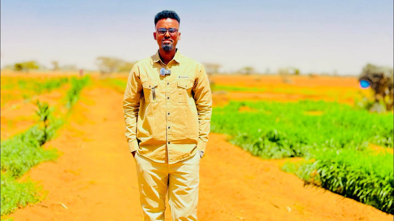 Beeraha lagu Beeray Noocyo Ka Mid ah Calafka Xoolaha