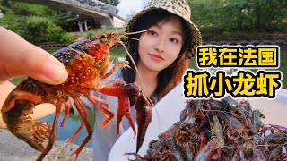 [問卦] 台灣沒有小龍蝦泛濫嗎？