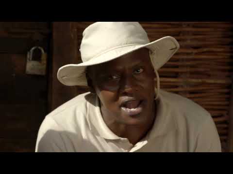 Shamba Shape Up Sn 9 - Ep 2: Mangoes, Avocadoes, Dairy Cows (Swahili)