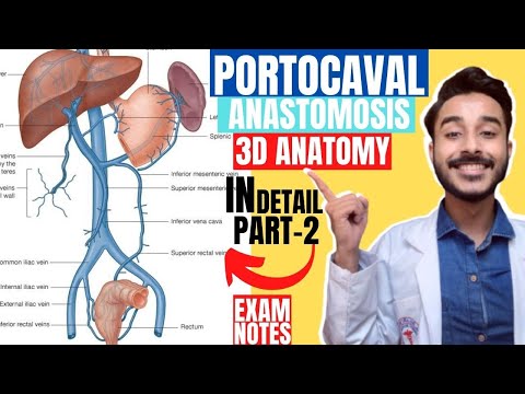 portocaval anastomosis anatomy 3d | portosystemic communications anatomy | portal vein anastomosis