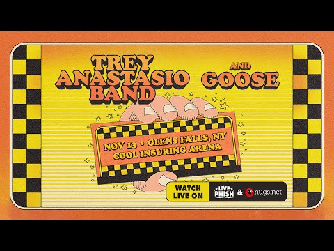 Goose 11/13/2022 Glens Falls, NY