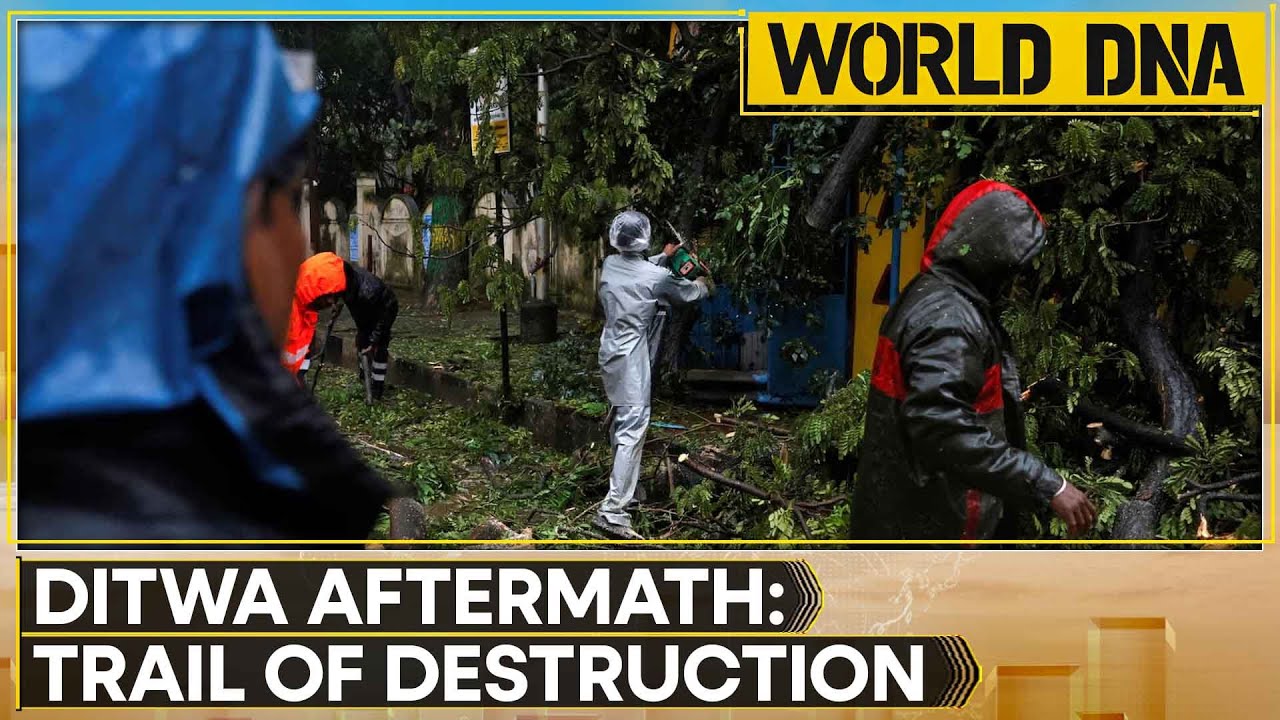 Cyclone Ditwa Aftermath: 474 Dead, 366 Missing in Sri Lanka | WION World DNA