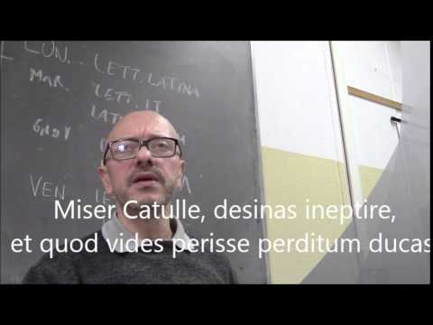 Poor kitten, stop being silly in the first place.