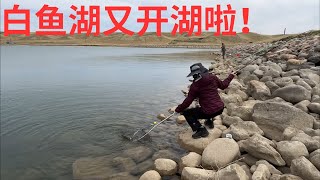白鱼湖今天风急浪高水浅 两个人忙活半天才钓了十磅 2025May09