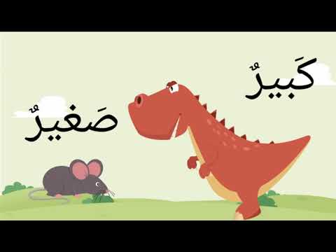 Opposite words in Arabic for Kids /الاضداد للأطفال صف أول –  اضداد الكلمات باللغة العربية