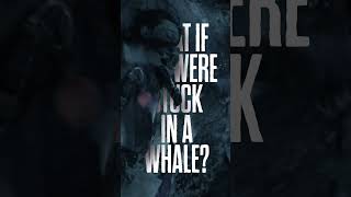 Whalefall (2026) Video