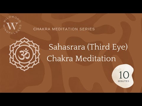 10 Minute Crown (Sahasrara) Chakra Meditation