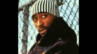 2pac ft.outlawz - If They love their kidz