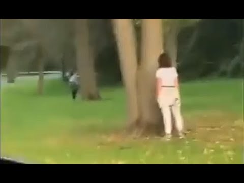 Joke Right it’s Gotta Be?