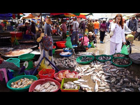 The Best Cambodian Fish Market Scene - Amazing Second Site Distribute Alive Fish, Dry Fish & Seafood