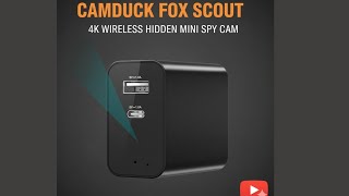 CAMDUCK FOX SCOUT MINI SPY CAM