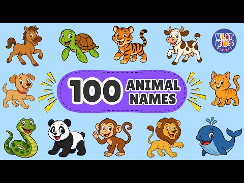 100 Animal Names for Kids | First Words for Babies & Toddlers | Fun Cartoon Learning Video