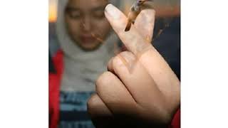 Download lagu Literasi 1 Menit ~ HARAPANKU mp3