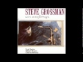 Ray's Idea / Steve Grossman Quartet