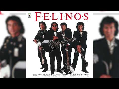 Los Felinos - En La Mira (Visualizador Oficial)
