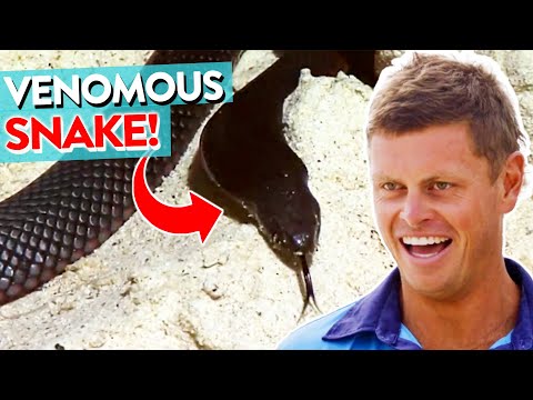 ARGH! Dangerous Animals Visit Bondi