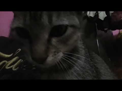 Love is in the air@dolanaretumidolanandyou5519