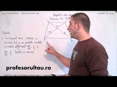 exemple teorema lui thales - profesorultau.ro
