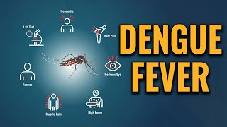 Dengue fever - Symptoms and causes